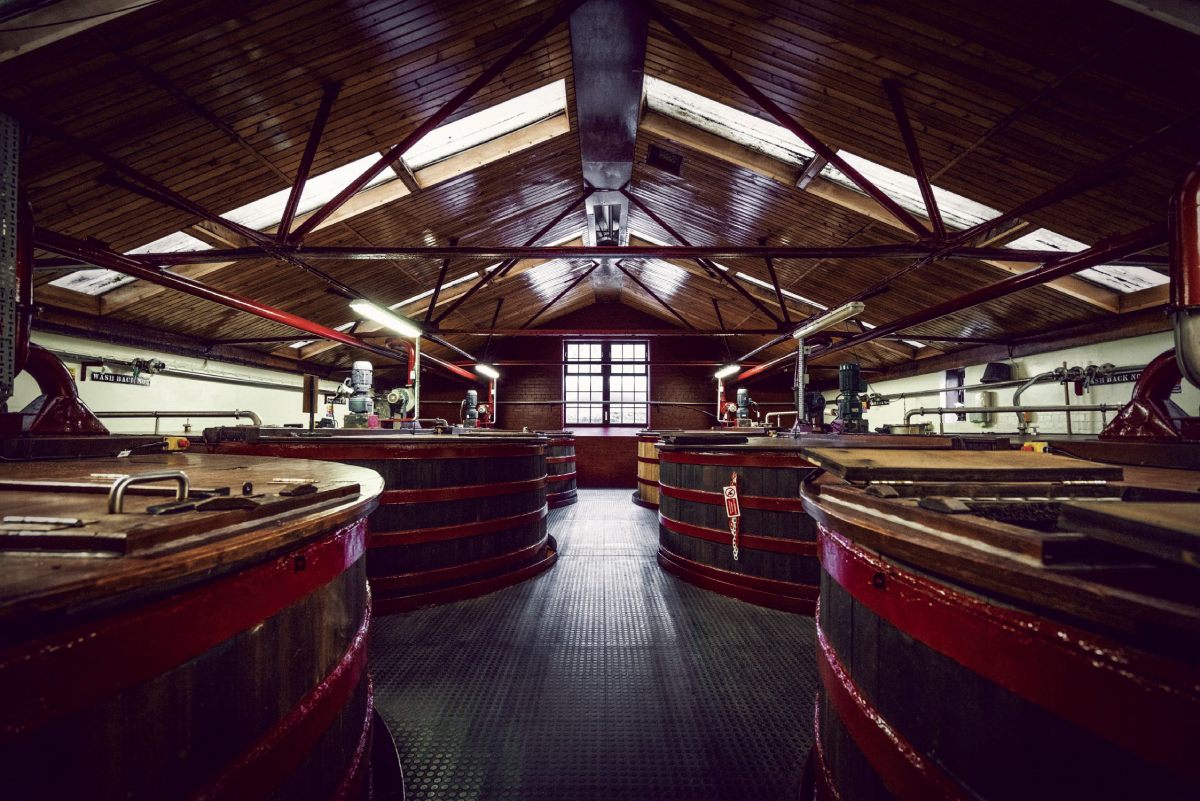 Fermentação de whisky